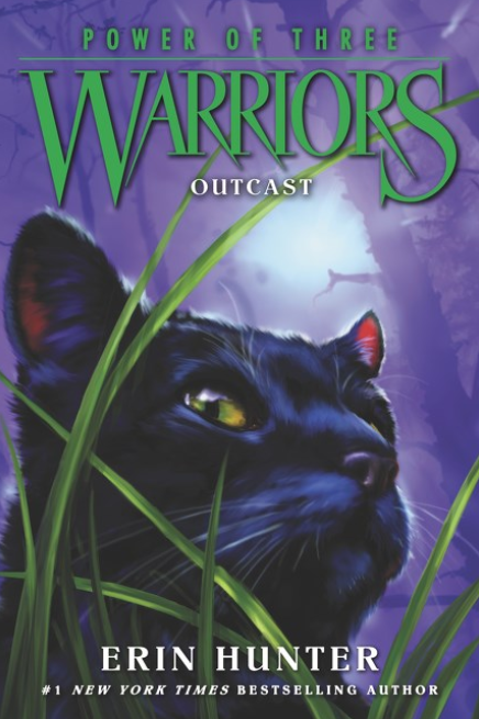 Warriors: Power of Three: vol. 3, Outcast