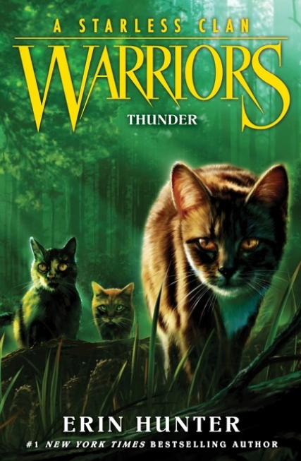 Warriors: A Starless Clan: vol. 4, Thunder