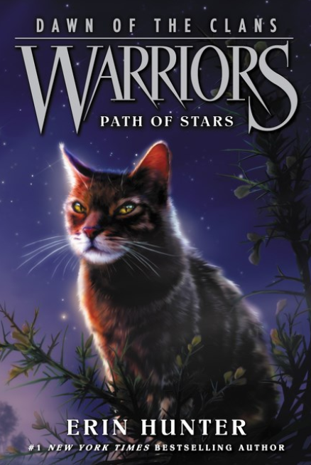 Warriors: Dawn of the Clans: vol. 6, Path of Stars