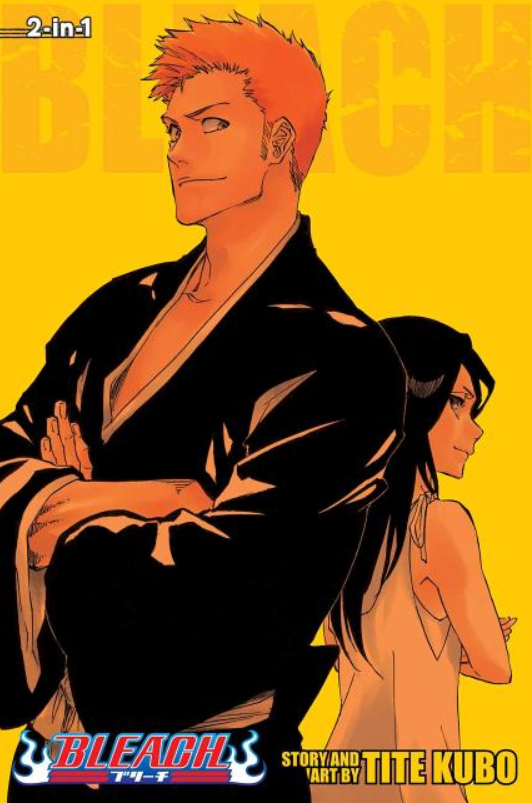 Bleach: 2-in-1 Edition: vol. 25