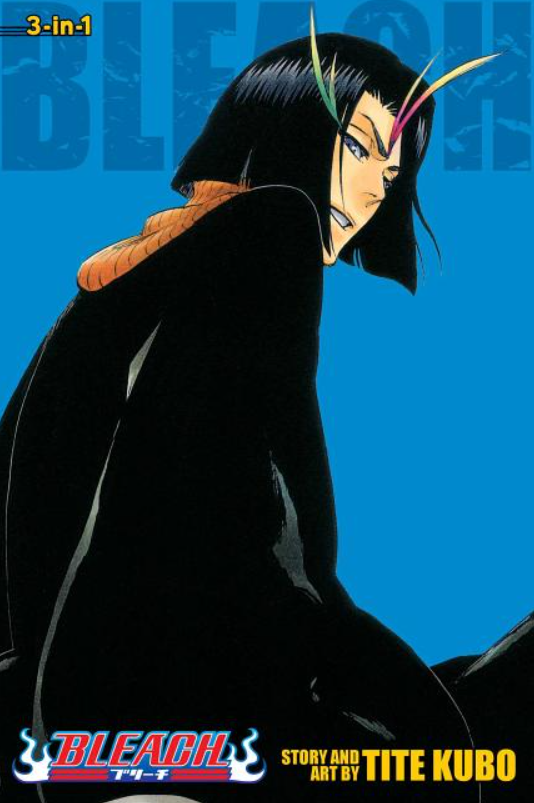 Bleach: 3-in-1 Edition: vol. 13