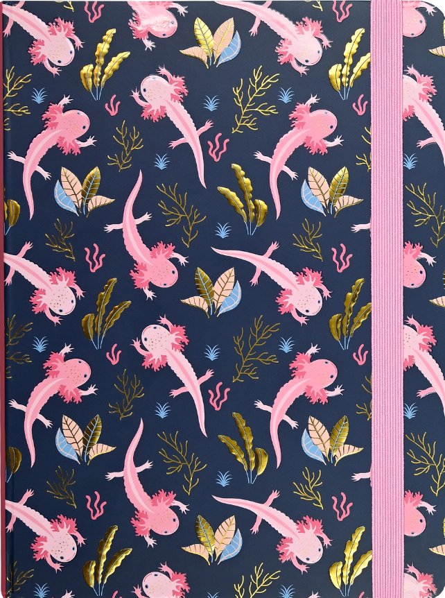 Lined Journals