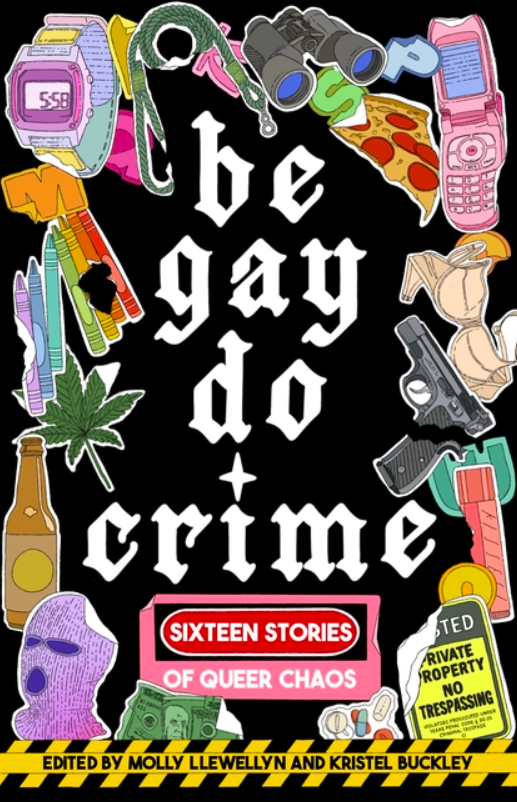 Be Gay, Do Crime