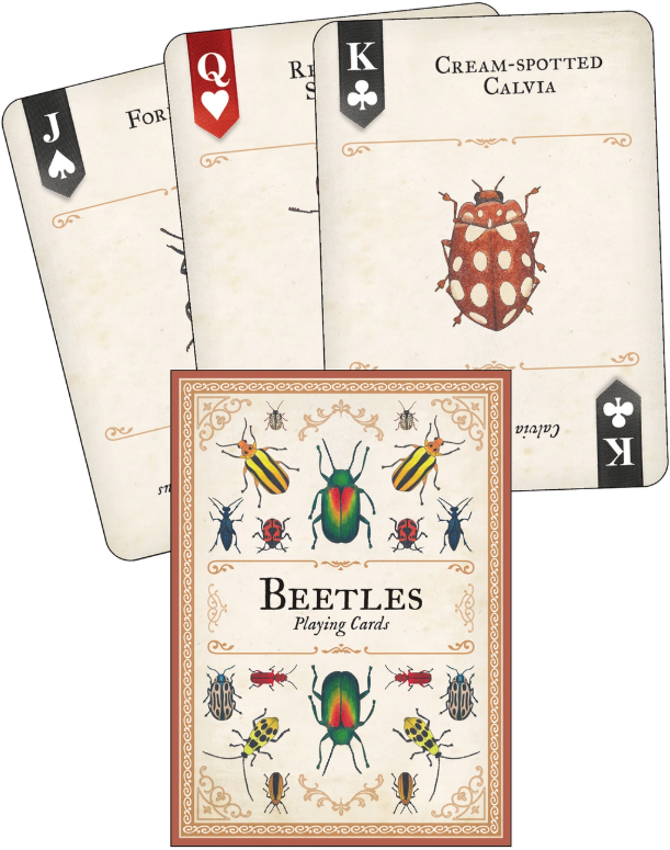 Playing Cards