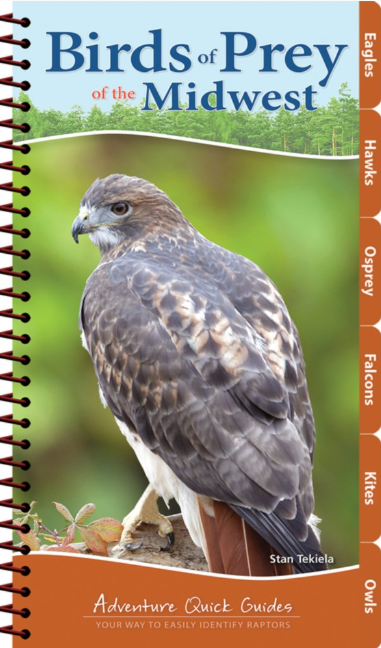 Adventure Quick Guide: Birds of Prey of the Midwest