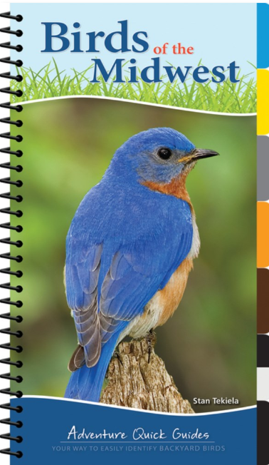 Adventure Quick Guide: Birds of the Midwest