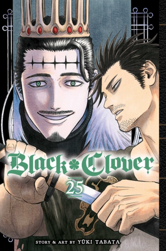 Black Clover: vol. 25