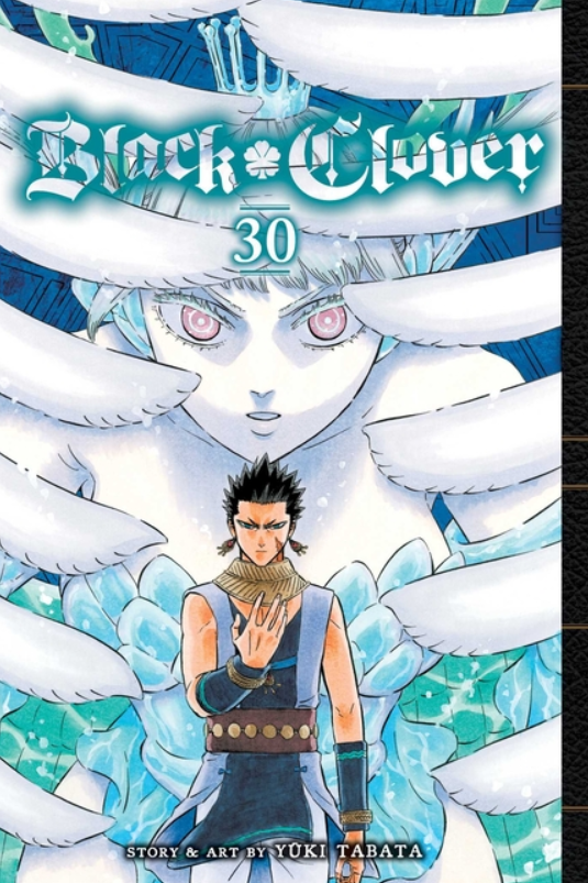 Black Clover: vol. 30