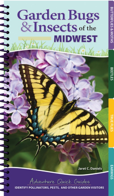 Adventure Quick Guide: Garden Bugs & Insects of the Midwest