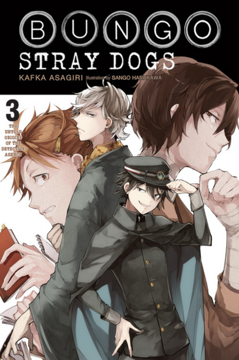 Bungo Stray Dogs: Light Novel: vol. 3