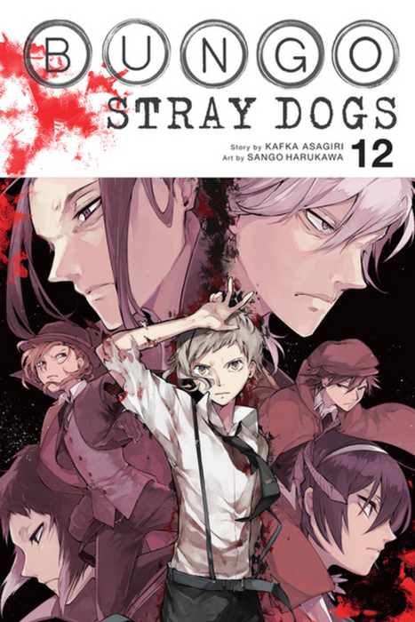 Bungo Stray Dogs: vol. 12