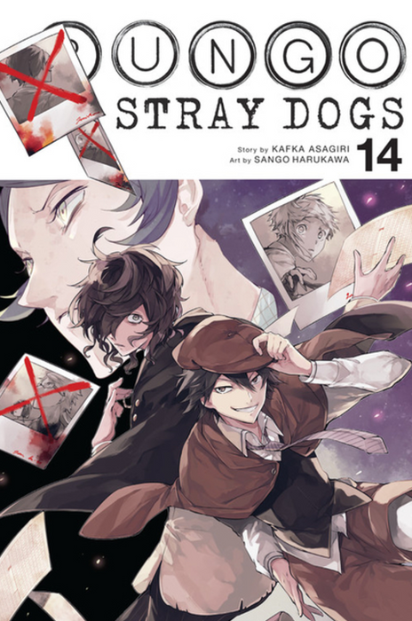 Bungo Stray Dogs: vol. 14