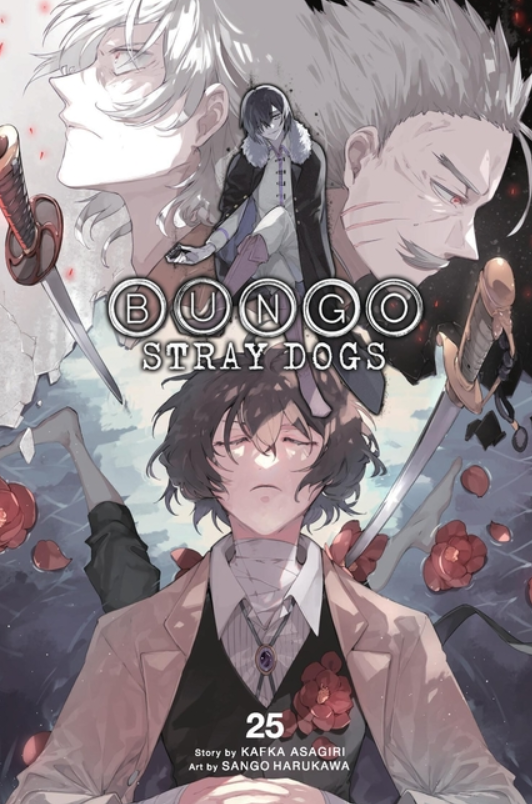 Bungo Stray Dogs: vol. 25