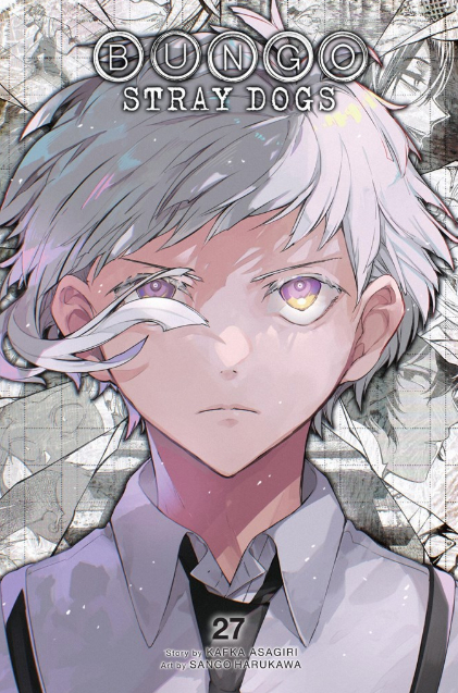 Bungo Stray Dogs: vol. 27