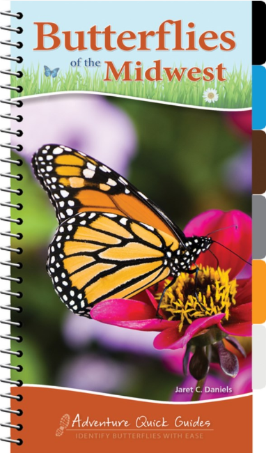 Adventure Quick Guide: Butterflies of the Midwest