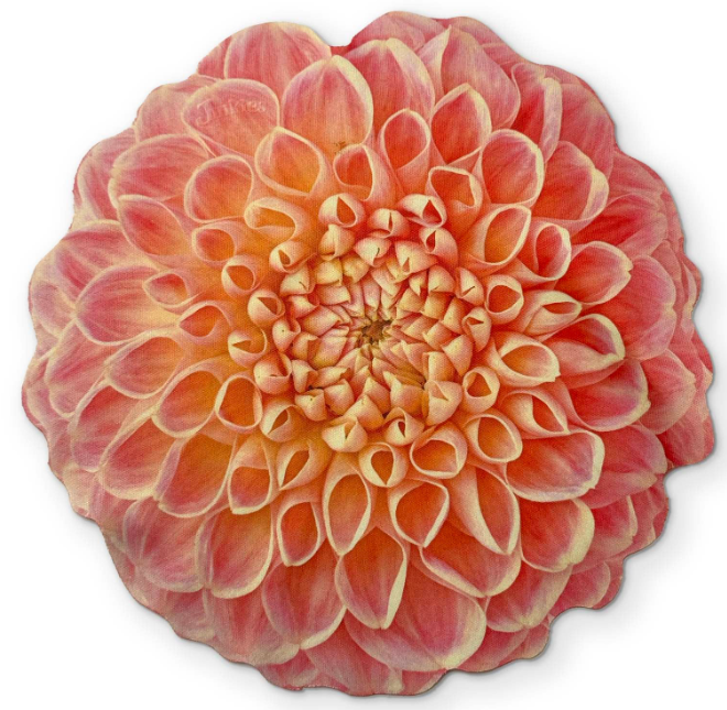 Sunglasses & Accessories