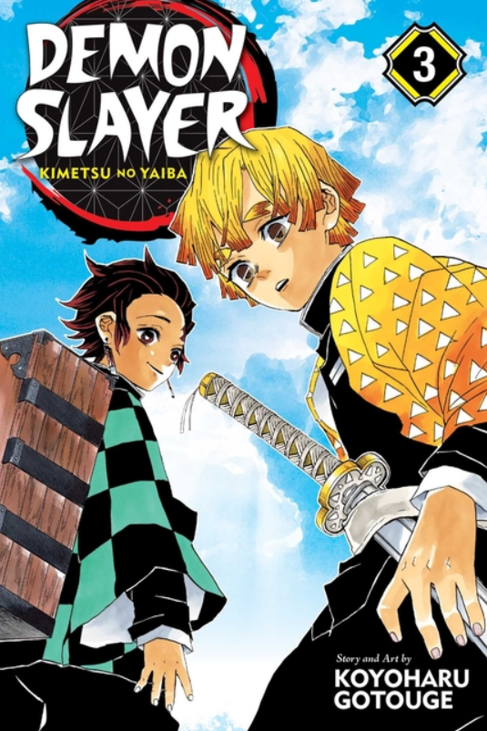 Demon Slayer: Kimetsu No Yaiba: vol. 3