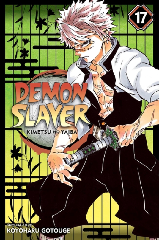 Demon Slayer: Kimetsu No Yaiba: vol. 17