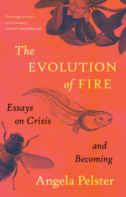 The Evolution of Fire