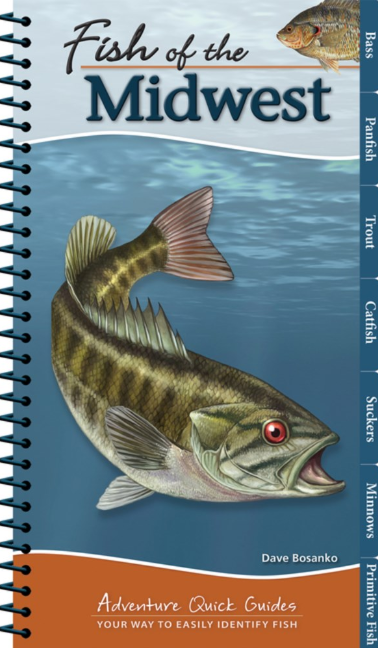 Adventure Quick Guide: Fish of the Midwest