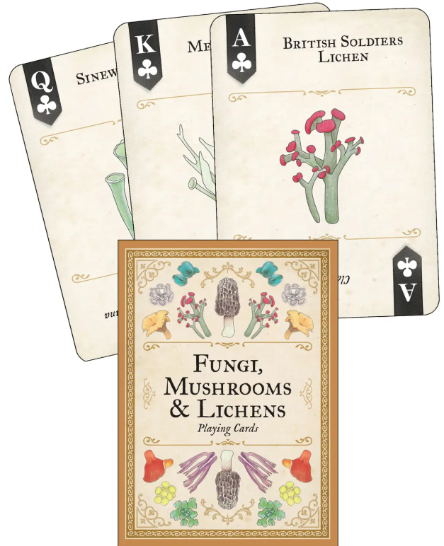 Playing Cards