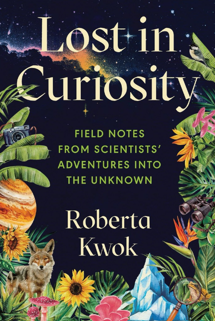 Lost in Curiosity