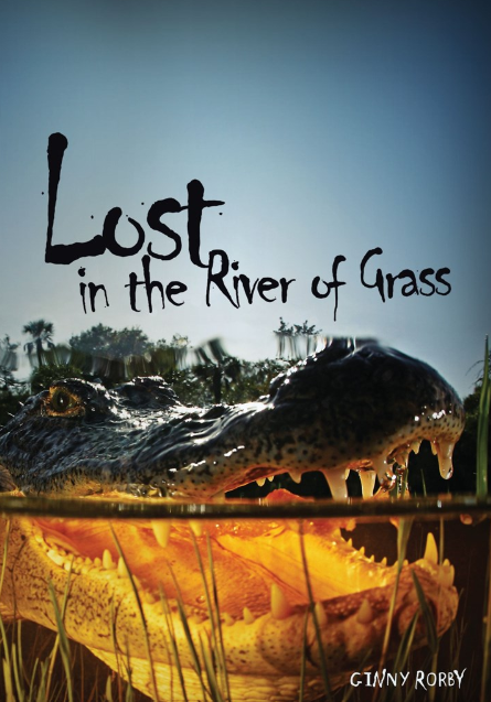 Lost in the River of Grass