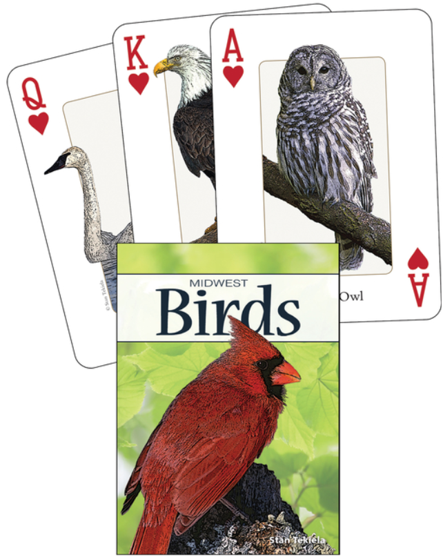 Playing Cards