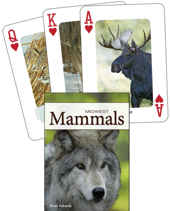Playing Cards