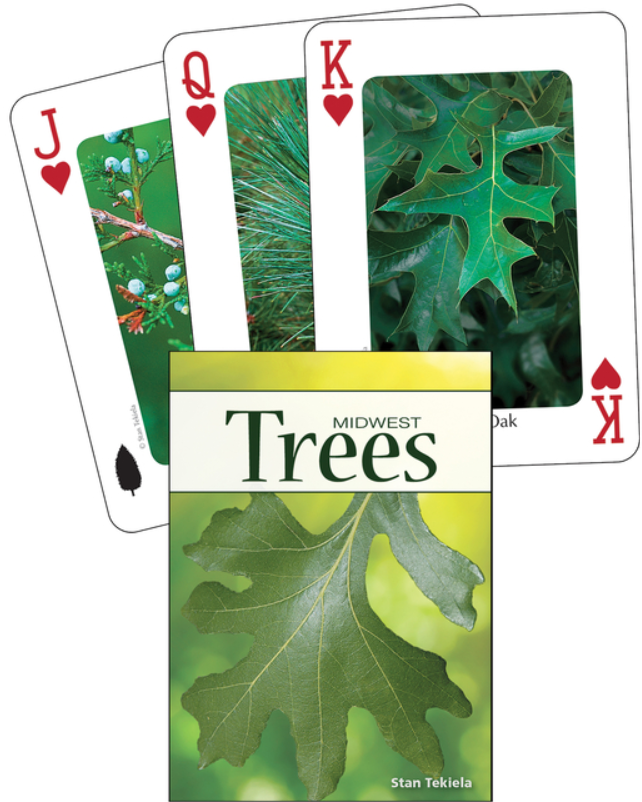Playing Cards