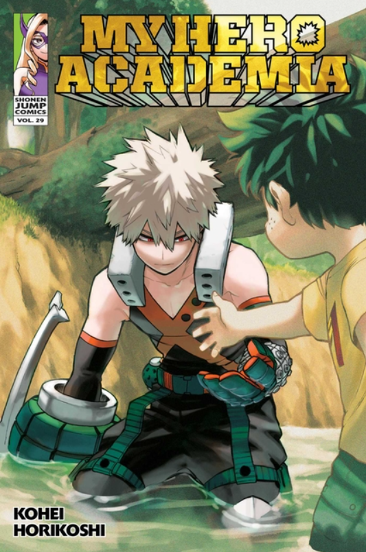 My Hero Academia: vol. 29