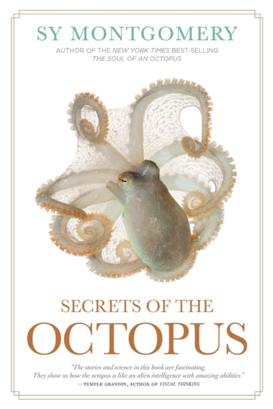 Secrets of the Octopus
