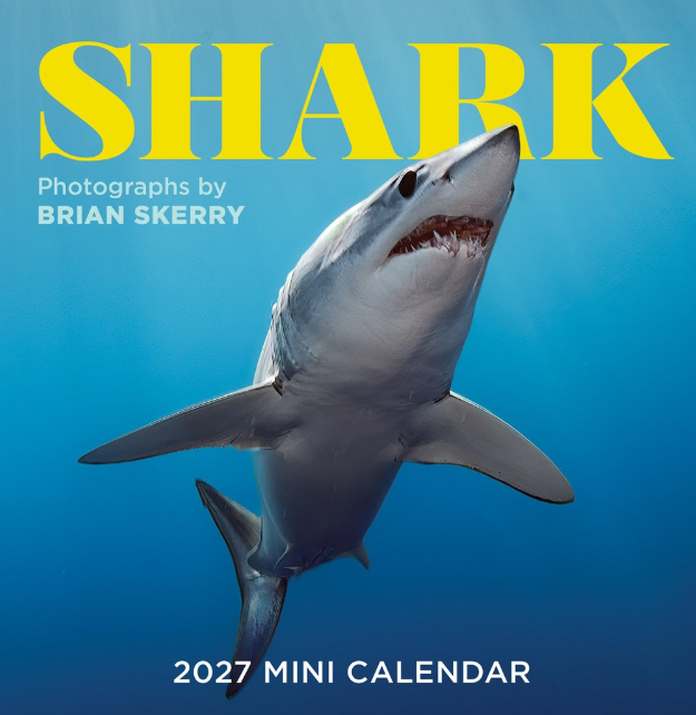 Shark 2027 Mini Wall Calendar