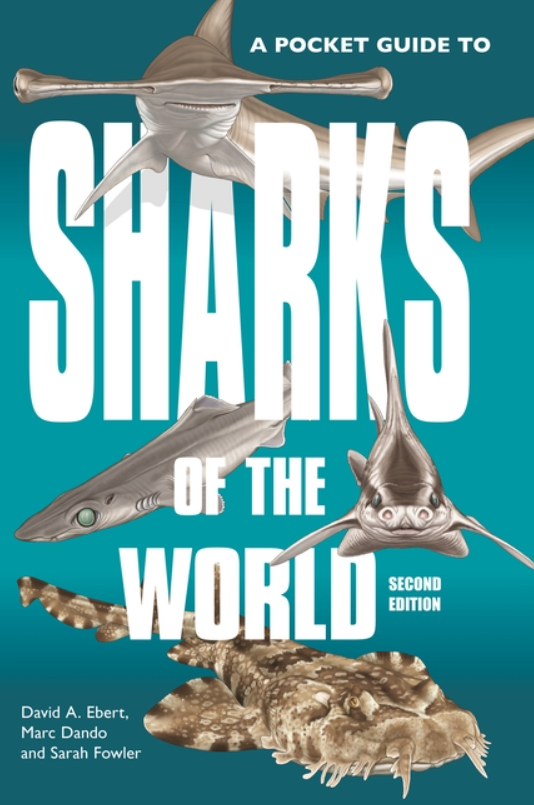 A Pocket Guide to Sharks of the World