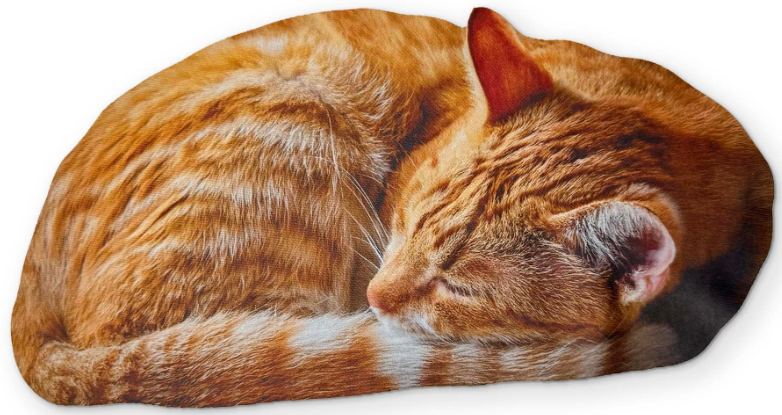 Sunglasses & Accessories