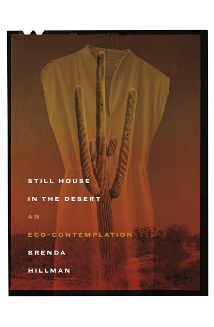 Still House in the Desert