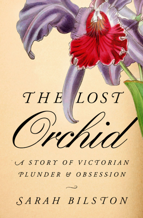 The Lost Orchid