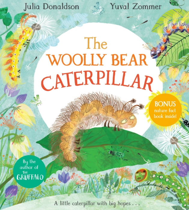 The Woolly Bear Caterpillar