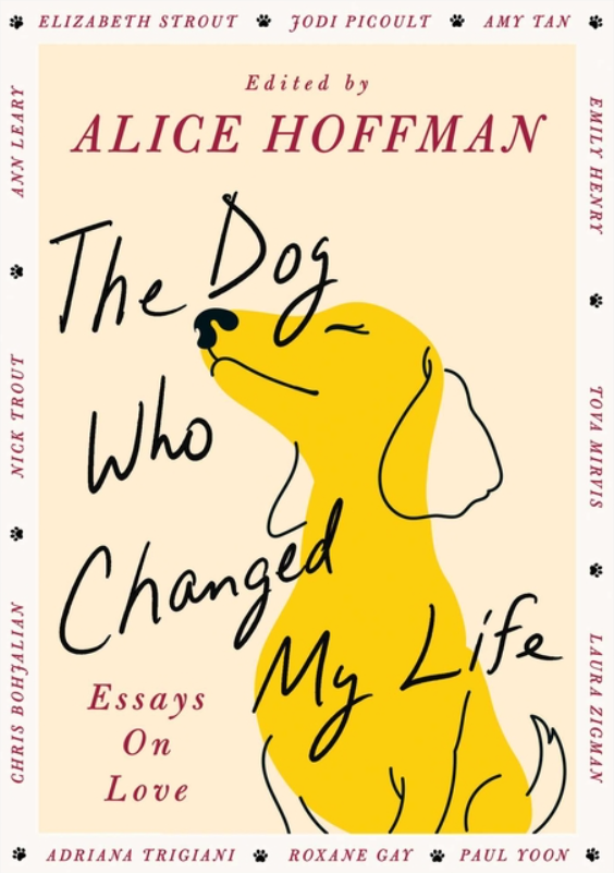 The Dog Who Changed My Life