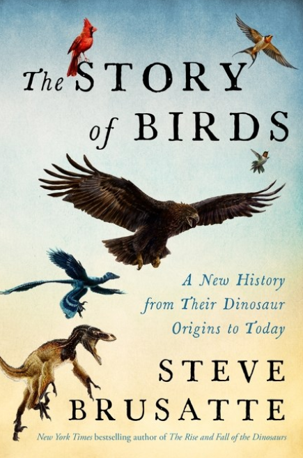 The Story of Birds
