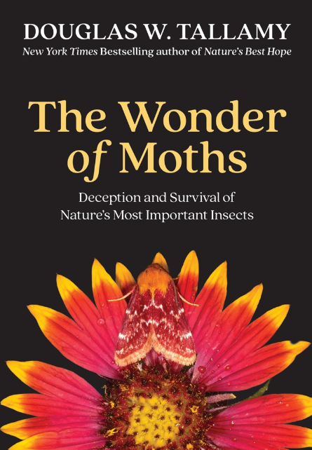 The Wonder of Moths