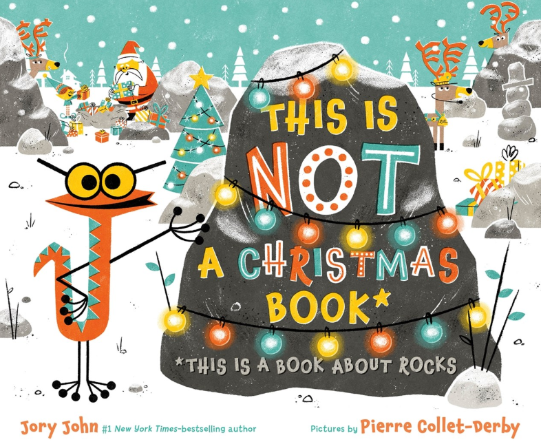 This Is Not a Christmas Book* (*This Is a Book about Rocks)