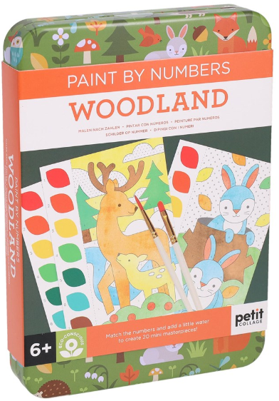 Paint by Numbers Kits