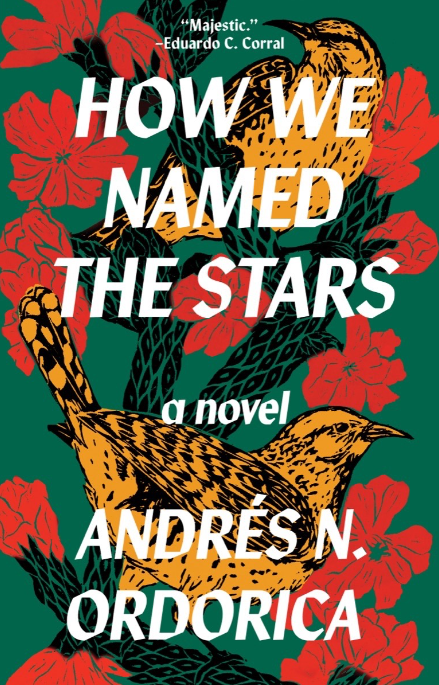 How We Named the Stars