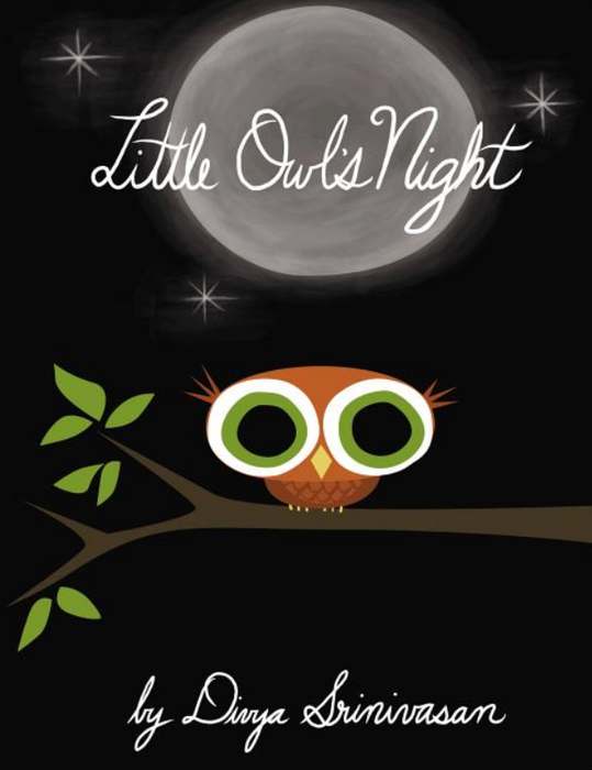 Little Owl's Night