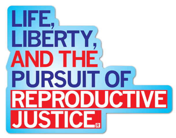 Political & Social Justice Stickers